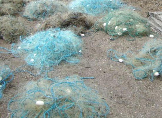 Bărbat din Lipniţa, prins cu o plasă monofilament